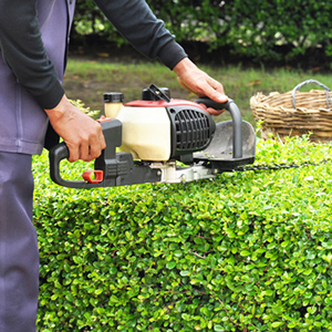 Lawn Maintenance Service